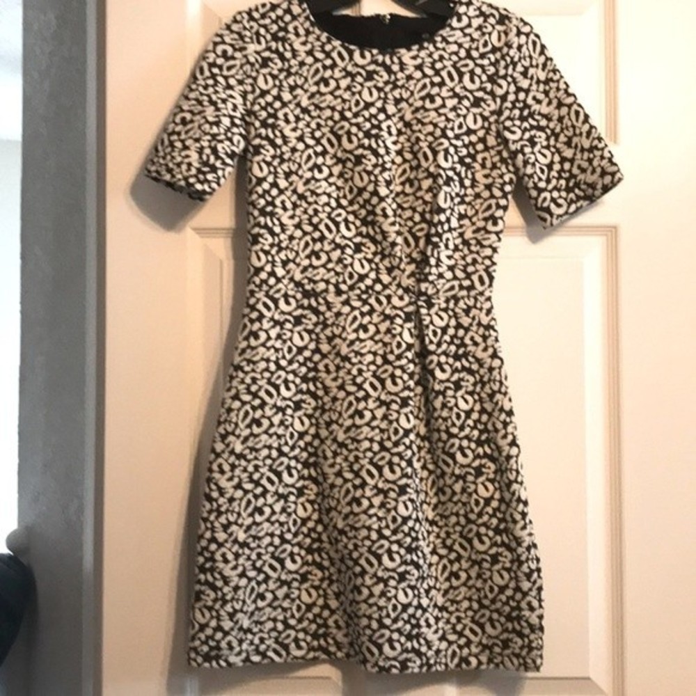 H&M Cheetah Print Dress